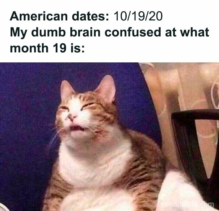 &#8220;This Is America&#8221;: 50 Memes That Sum Up Life In The United States