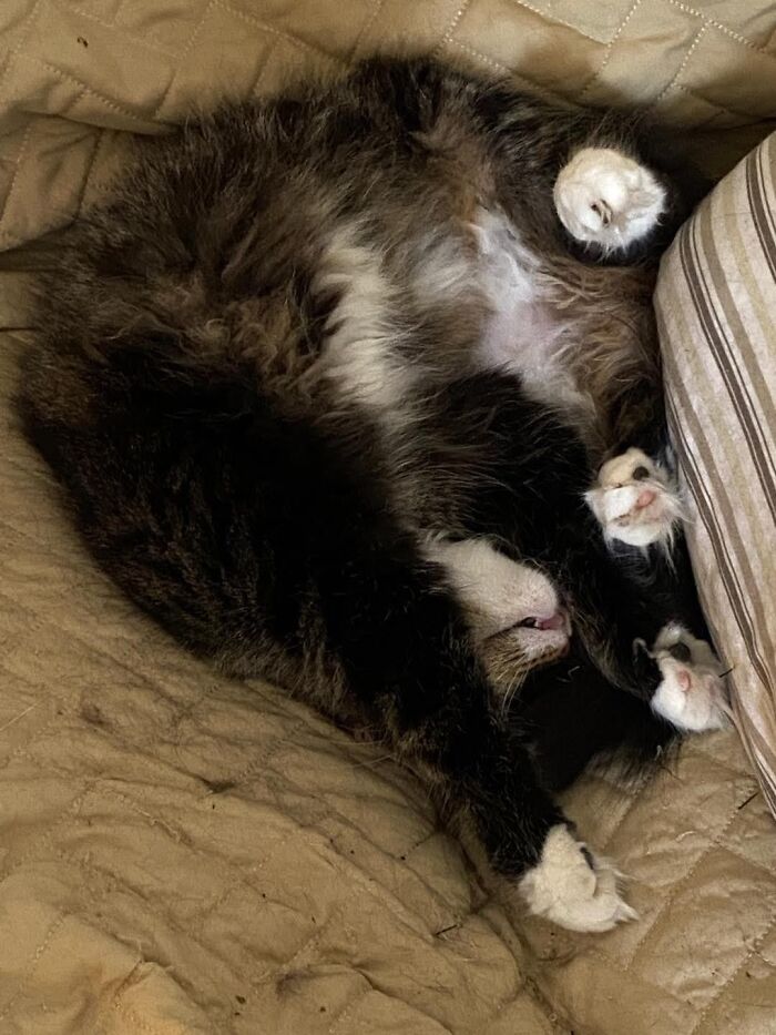 Hey Pandas, Share The Most Confusing Item In Your Home (Closed) Hey Pandas, Share The Most Confusing Item In Your Home (Closed)