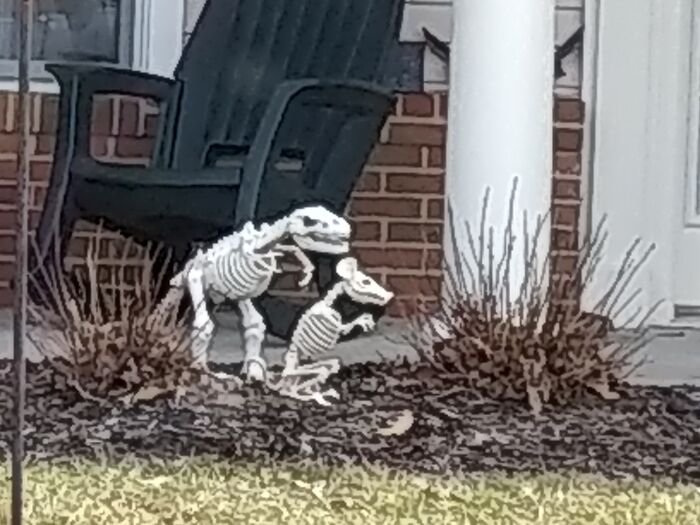 Hey Pandas, Share The Most Confusing Item In Your Home (Closed)