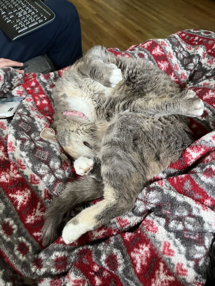 Hey Pandas, Share The Most Confusing Item In Your Home (Closed)