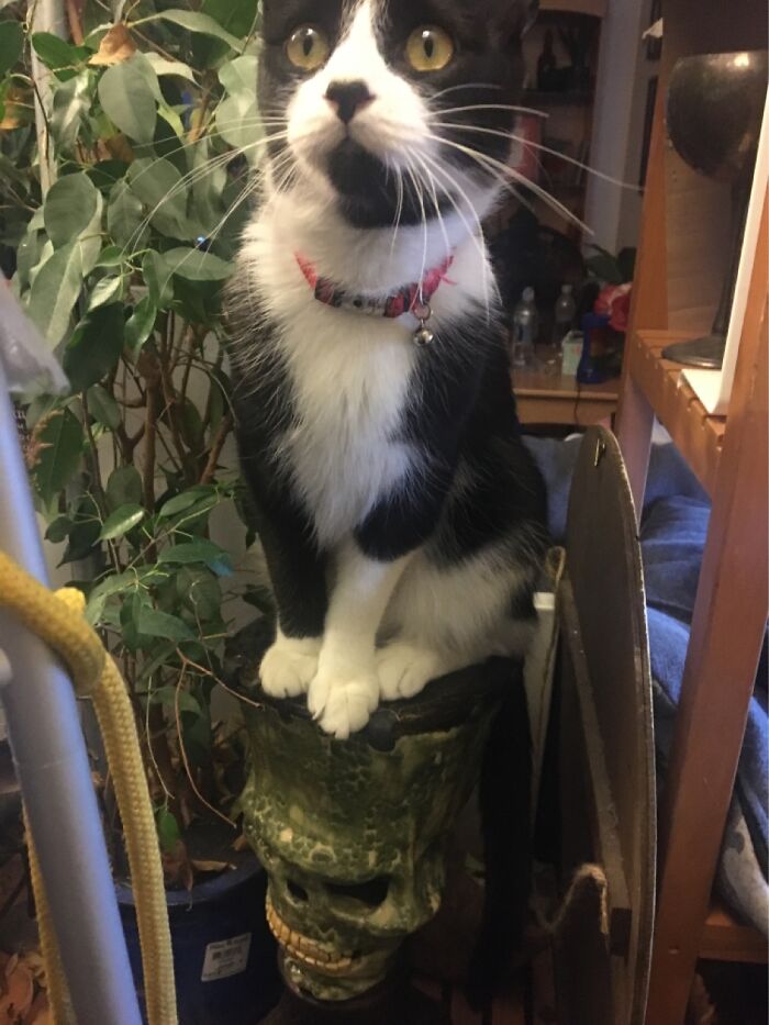 Hey Pandas, Share The Most Confusing Item In Your Home (Closed)