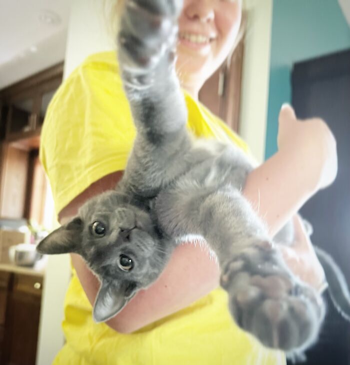 Hey Pandas, Share The Most Confusing Item In Your Home (Closed)