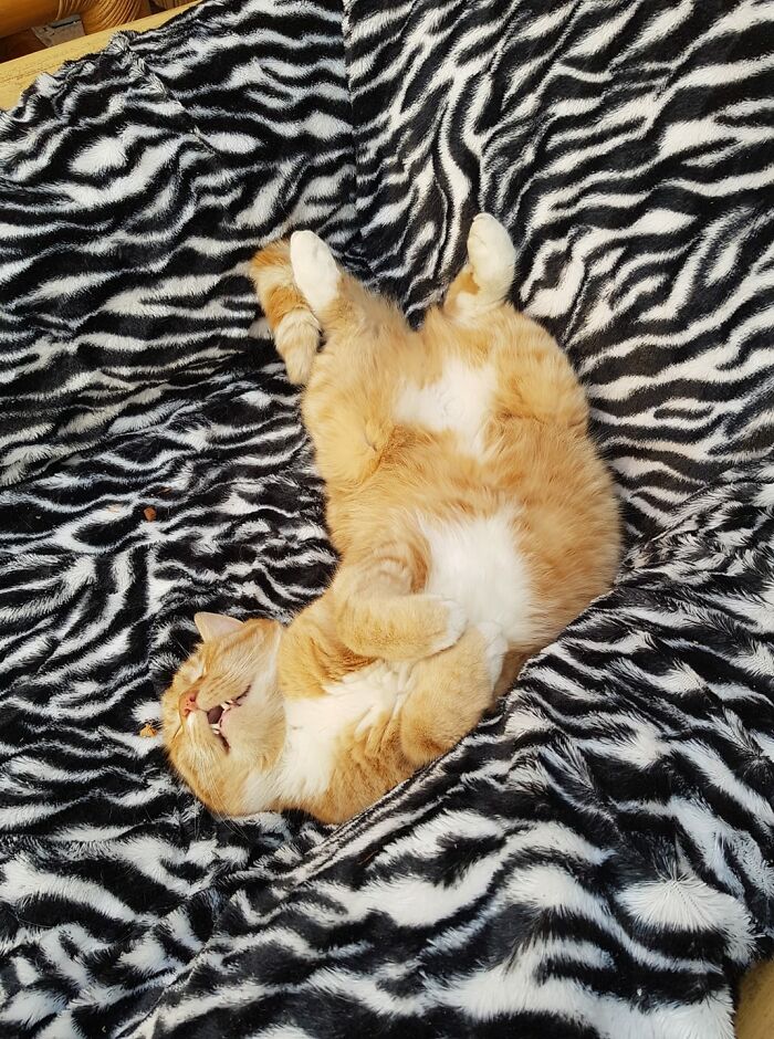 Hey Pandas, Share The Most Confusing Item In Your Home (Closed) Hey Pandas, Share The Most Confusing Item In Your Home (Closed)