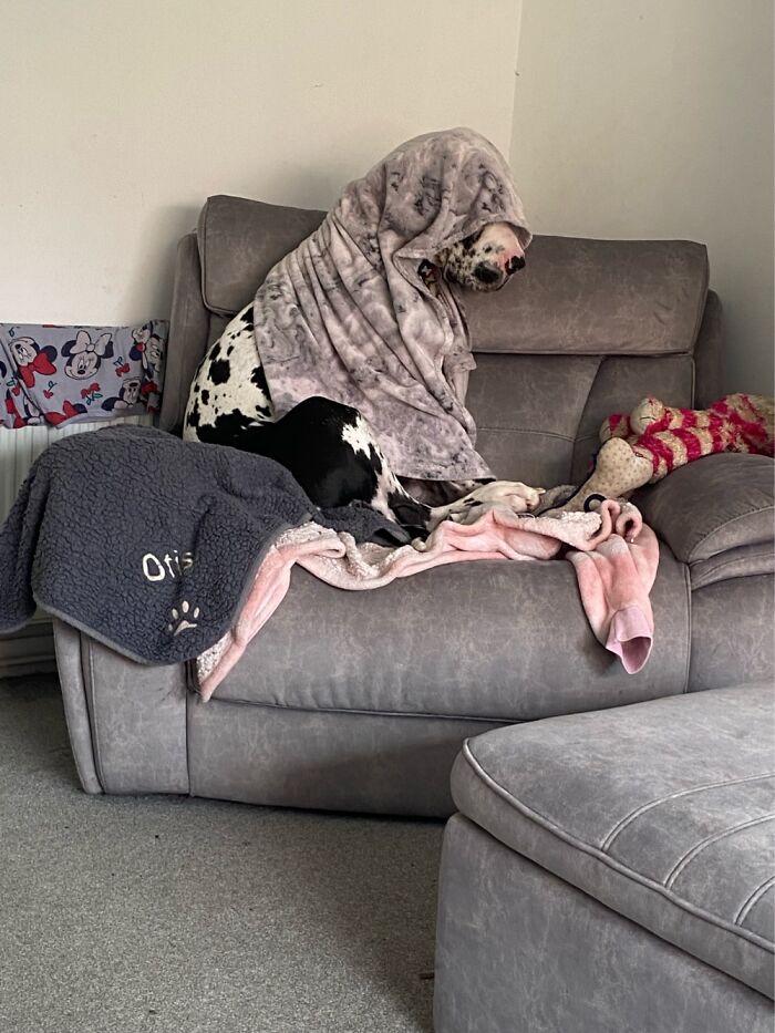 Hey Pandas, Share The Most Confusing Item In Your Home (Closed) Hey Pandas, Share The Most Confusing Item In Your Home (Closed)