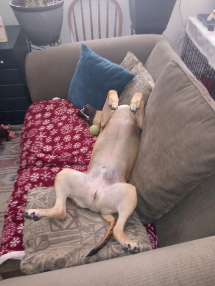 Hey Pandas, Share The Most Confusing Item In Your Home (Closed) Hey Pandas, Share The Most Confusing Item In Your Home (Closed)