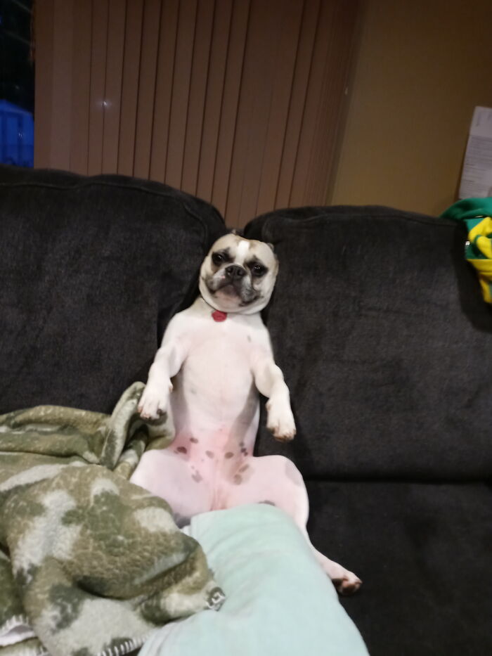 Hey Pandas, Share The Most Confusing Item In Your Home (Closed)