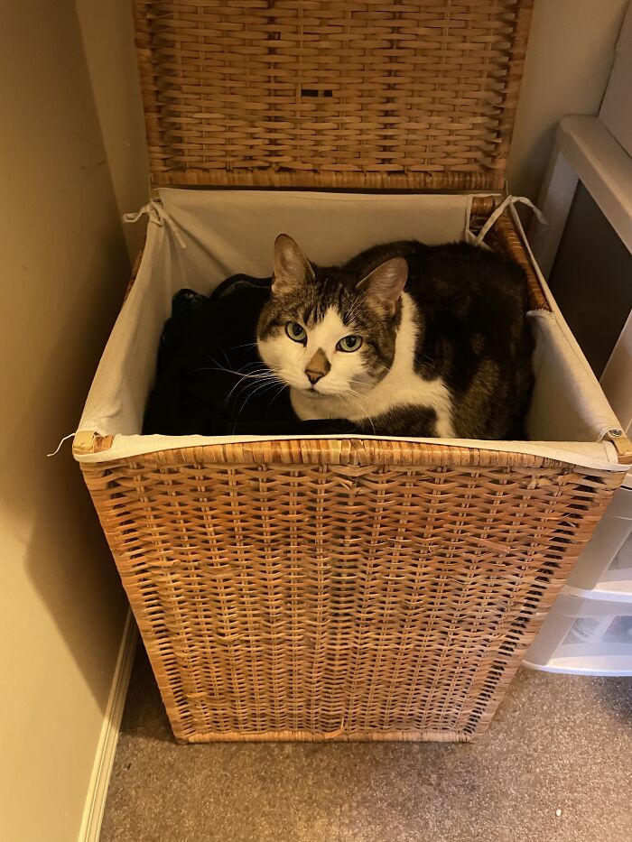 Hey Pandas, Share The Most Confusing Item In Your Home (Closed)