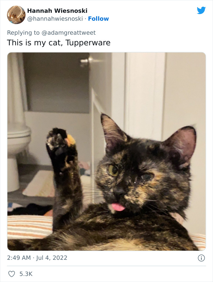 40 Of The Most Bonkers Pet Names, As Shared By Their Owners In This Now-Viral Twitter Thread 40 Of The Most Bonkers Pet Names, As Shared By Their Owners In This Now-Viral Twitter Thread