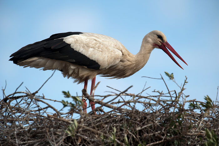 Person Asks “Doctors, What Was The Worst Thing You’ve Seen In A Patient That Another Doctor Overlooked?”, And 30 Folks Deliver Person Asks “Doctors, What Was The Worst Thing You’ve Seen In A Patient That Another Doctor Overlooked?”, And 30 Folks Deliver