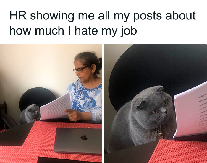 30 Hilariously Relatable Memes Shared On The ‘Sarcasm Only’ Instagram Account (New Pics) 30 Hilariously Relatable Memes Shared On The ‘Sarcasm Only’ Instagram Account (New Pics)