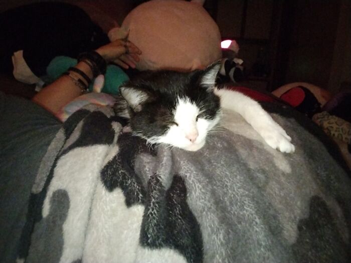 Hey Pandas, Share Your Cool Second-Hand Finds (Closed)