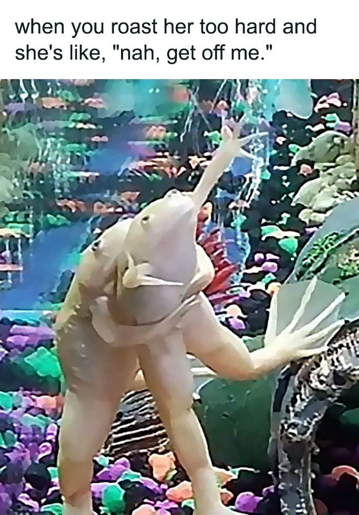 35 Funny Relationship Memes We Found On This Facebook Group 35 Funny Relationship Memes We Found On This Facebook Group