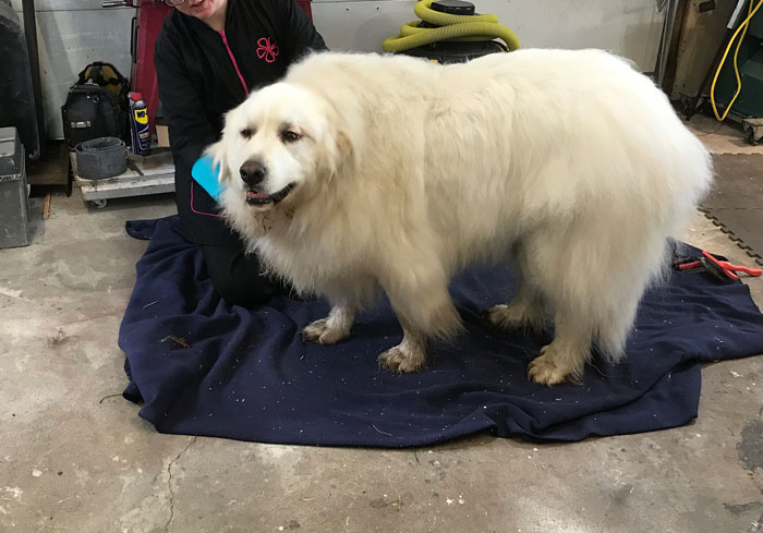 30 Folks Online Share The Red Flags In Applicants That They Missed Or Ignored During Job Interviews That Eventually Led To Trouble 30 Folks Online Share The Red Flags In Applicants That They Missed Or Ignored During Job Interviews That Eventually Led To Trouble