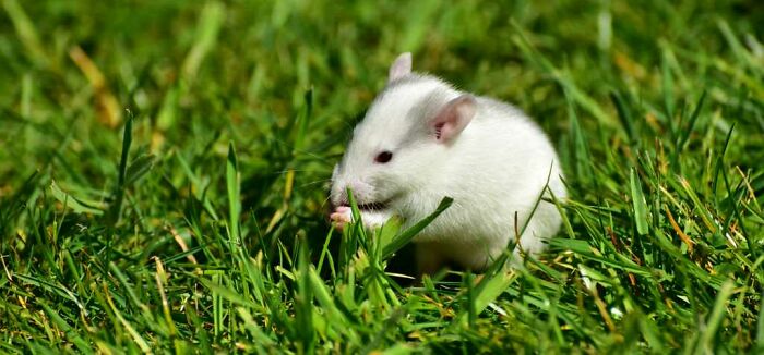 Hey Pandas! What’s Your Worst Restaurant Story? (Closed) Hey Pandas! What’s Your Worst Restaurant Story? (Closed)