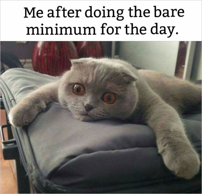 30 Student Memes That Might Make You Laugh And Cry At The Same Time, As Shared By This Dedicated Online Group 30 Student Memes That Might Make You Laugh And Cry At The Same Time, As Shared By This Dedicated Online Group