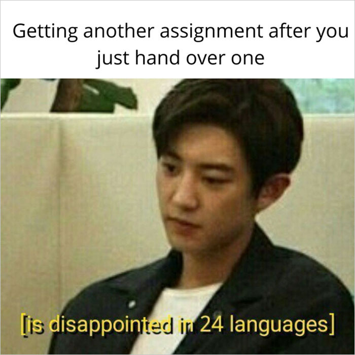 30 Student Memes That Might Make You Laugh And Cry At The Same Time, As Shared By This Dedicated Online Group 30 Student Memes That Might Make You Laugh And Cry At The Same Time, As Shared By This Dedicated Online Group