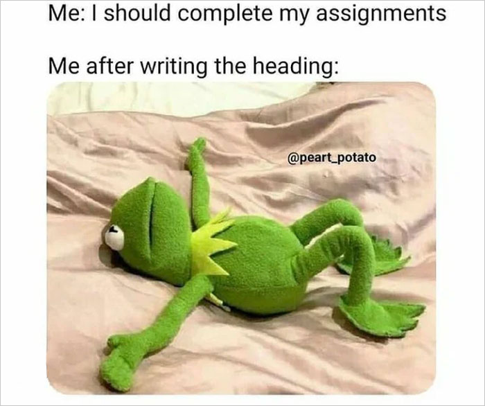 30 Student Memes That Might Make You Laugh And Cry At The Same Time, As Shared By This Dedicated Online Group 30 Student Memes That Might Make You Laugh And Cry At The Same Time, As Shared By This Dedicated Online Group