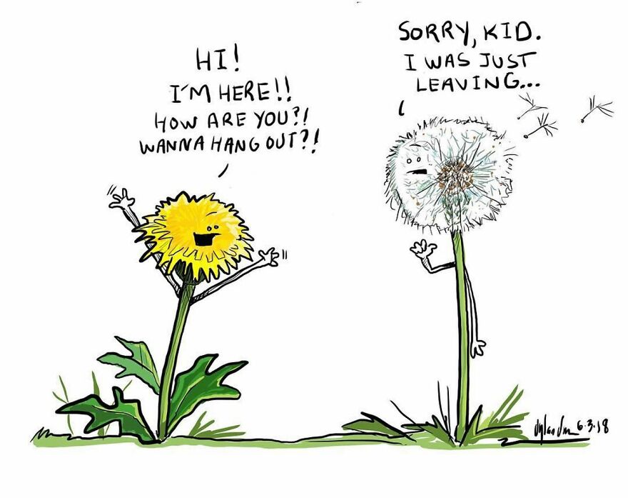 Artist Creates Comics To Show Things Based On The Perspective Of Non-Living Objects (30 New Pics)