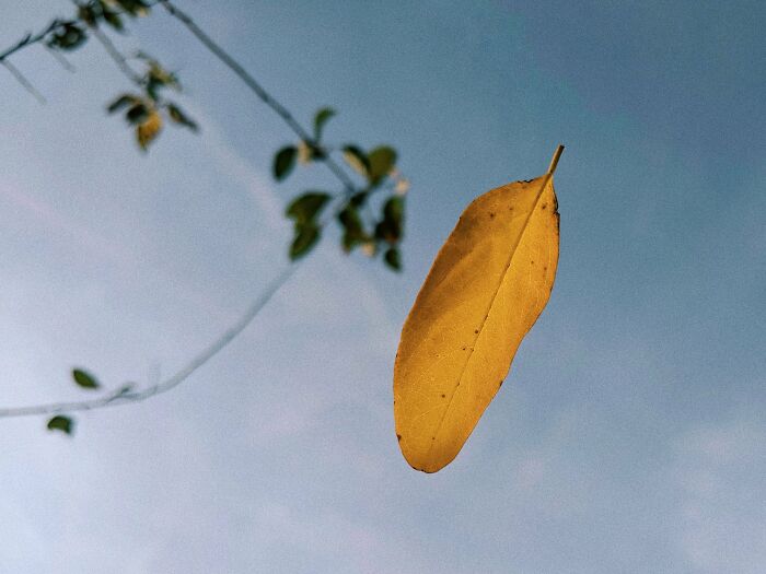 Pictures You Wouldn’t Believe Are Taken With A Smartphone (21 Pics) Pictures You Wouldn’t Believe Are Taken With A Smartphone (21 Pics)