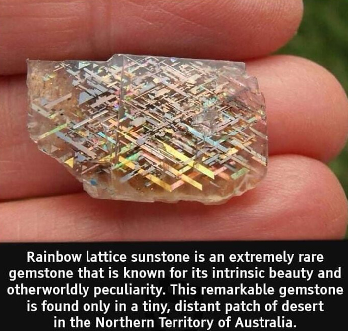 50 Random Facts That Seem Too Hard To Believe Yet Are Completely True, As Shared On This Encyclopedic Instagram Account 50 Random Facts That Seem Too Hard To Believe Yet Are Completely True, As Shared On This Encyclopedic Instagram Account