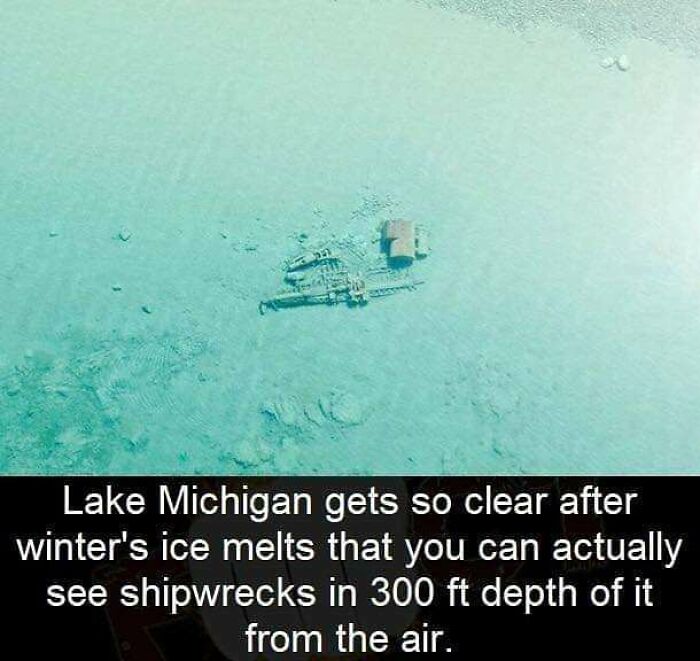 50 Random Facts That Seem Too Hard To Believe Yet Are Completely True, As Shared On This Encyclopedic Instagram Account 50 Random Facts That Seem Too Hard To Believe Yet Are Completely True, As Shared On This Encyclopedic Instagram Account