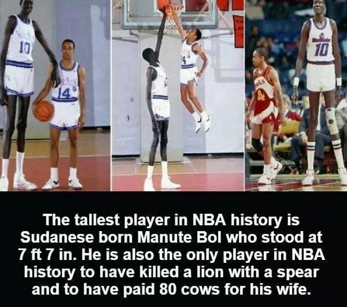 50 Random Facts That Seem Too Hard To Believe Yet Are Completely True, As Shared On This Encyclopedic Instagram Account 50 Random Facts That Seem Too Hard To Believe Yet Are Completely True, As Shared On This Encyclopedic Instagram Account