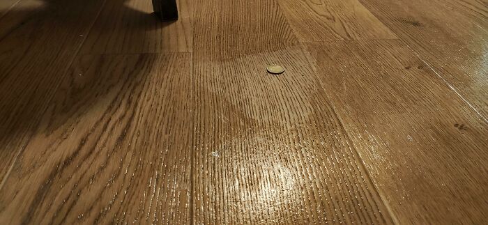 40 “Not My Job” Moments Where People Did The Absolute Bare Minimum (New Pics) 40 “Not My Job” Moments Where People Did The Absolute Bare Minimum (New Pics)