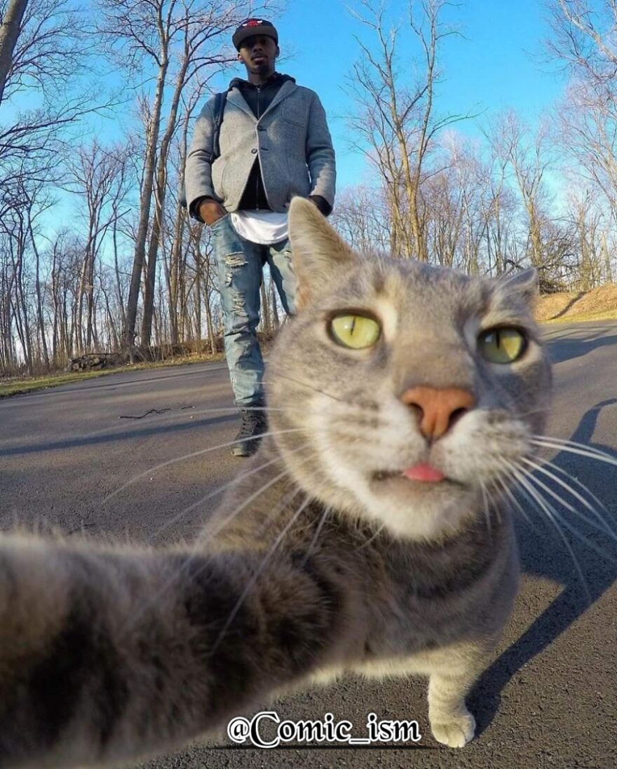 20 Totally Adorable And Hilarious Cat Selfies That Will Make You Laugh 20 Totally Adorable And Hilarious Cat Selfies That Will Make You Laugh