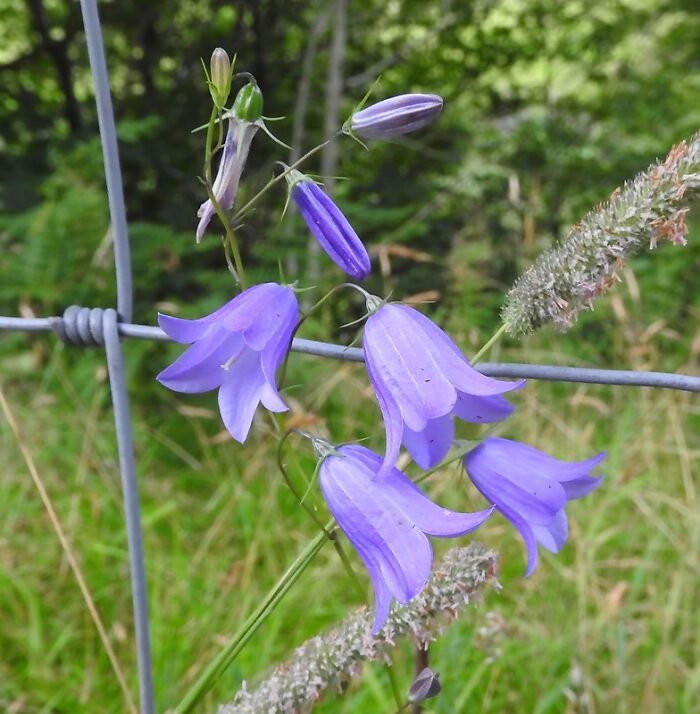 30 Unexpected Habits People Learnt In Jail And Still Do In Their Everyday Life, As Shared In This Online Community 30 Unexpected Habits People Learnt In Jail And Still Do In Their Everyday Life, As Shared In This Online Community