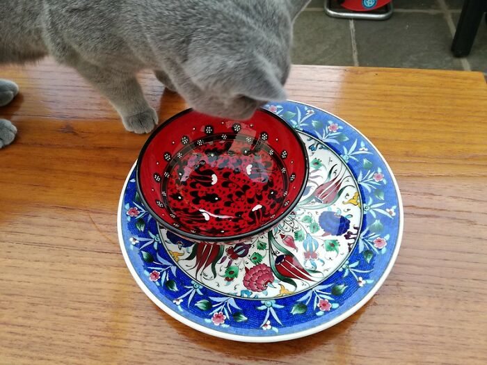 30 Unexpected Habits People Learnt In Jail And Still Do In Their Everyday Life, As Shared In This Online Community 30 Unexpected Habits People Learnt In Jail And Still Do In Their Everyday Life, As Shared In This Online Community