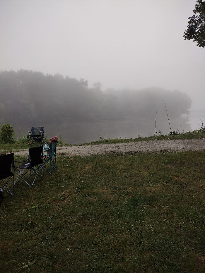 Hey Pandas, Go Outside And Take A Picture Of The First Plant You See (Closed)