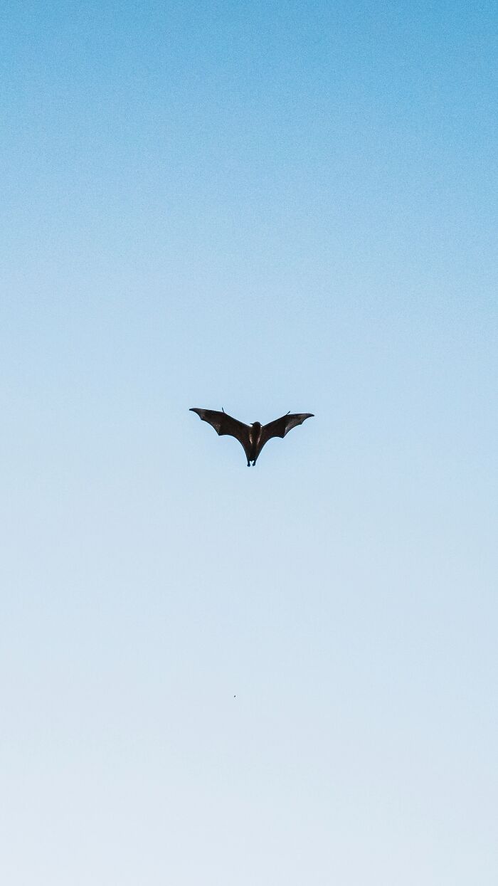 Hotel Workers Are Revealing 30 Disgusting, Bizarre And Shocking Things They’ve Discovered In Guests’ Rooms