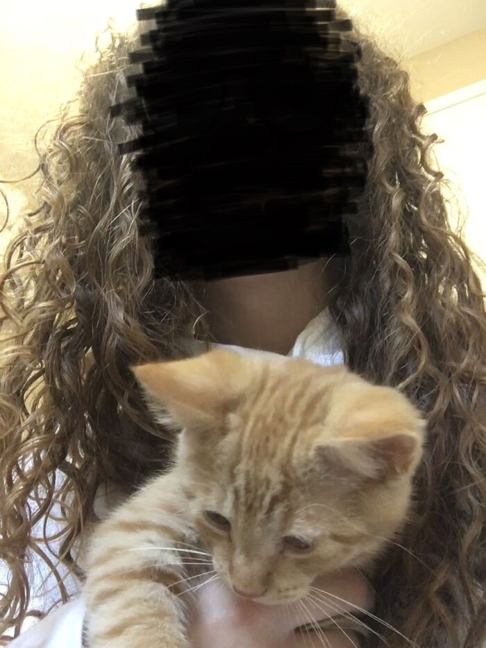 Hey Pandas, Share A Picture Of Your Hair (Closed) Hey Pandas, Share A Picture Of Your Hair (Closed)