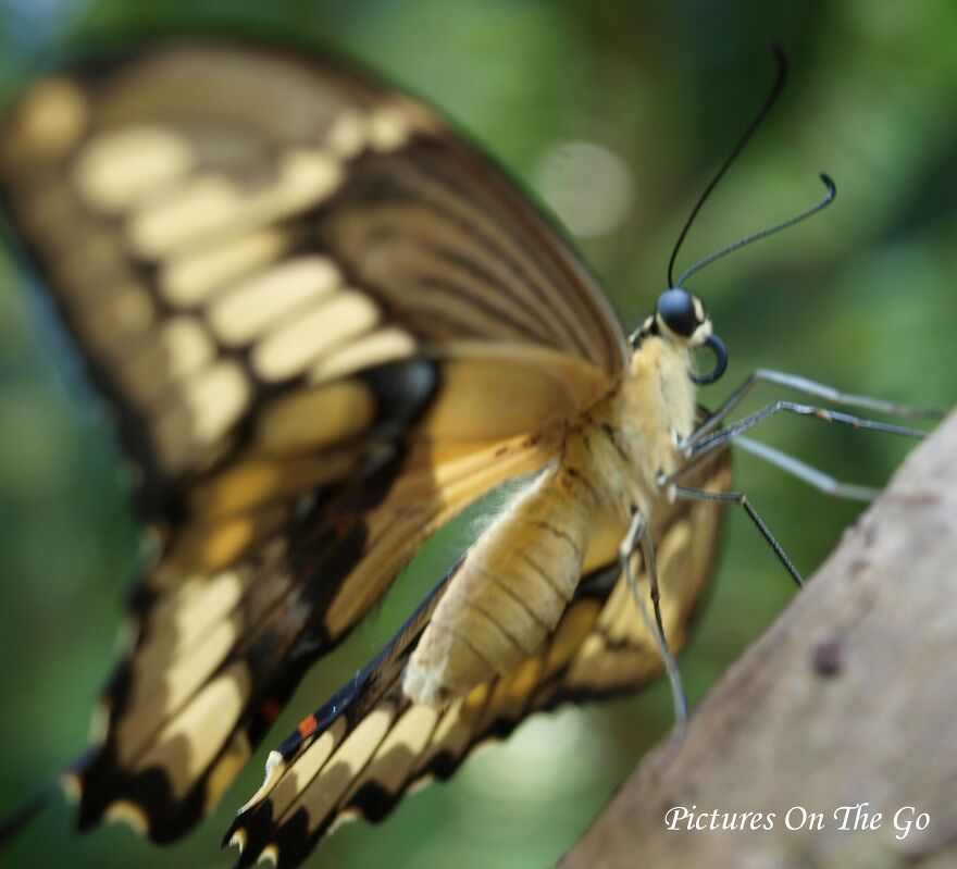 20 Photos I Took On 35 Mm Film 20 Photos I Took On 35 Mm Film