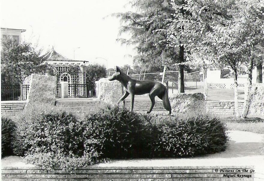 20 Photos I Took On 35 Mm Film 20 Photos I Took On 35 Mm Film