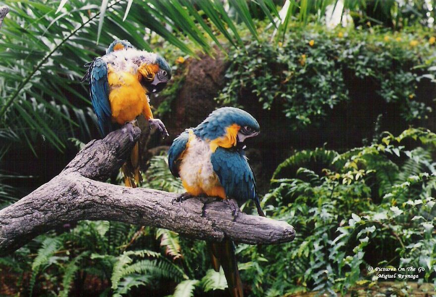 20 Photos I Took On 35 Mm Film 20 Photos I Took On 35 Mm Film