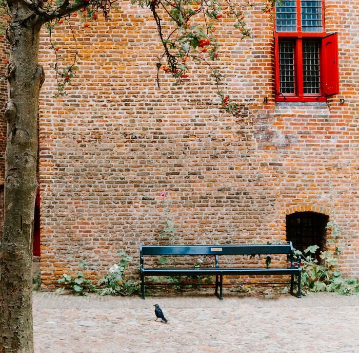 People Are Sharing 30 Things About Europe That Americans Would Find Weird People Are Sharing 30 Things About Europe That Americans Would Find Weird