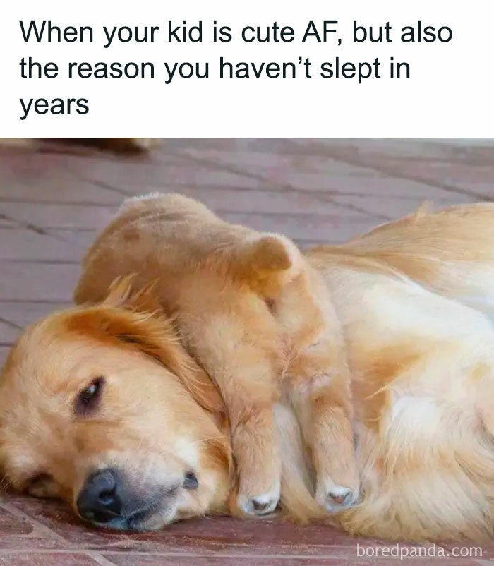 If You Think Parenting Is Challenging, You’re Not Alone, And Here Are 30 Funny Memes From ‘Satirical Mommy’ To Prove It If You Think Parenting Is Challenging, You’re Not Alone, And Here Are 30 Funny Memes From ‘Satirical Mommy’ To Prove It