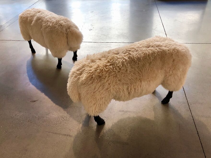 I Made Some Art Of Sheep (17 Pics)