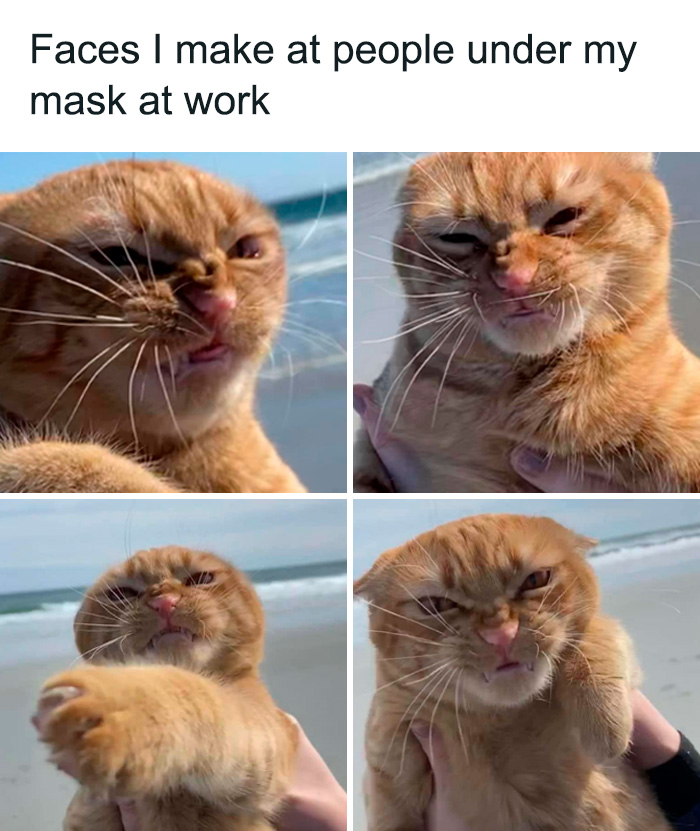 This Facebook Group Shares 50 “Work Related Funnies” To Help You Get Through The Work Week This Facebook Group Shares 50 “Work Related Funnies” To Help You Get Through The Work Week
