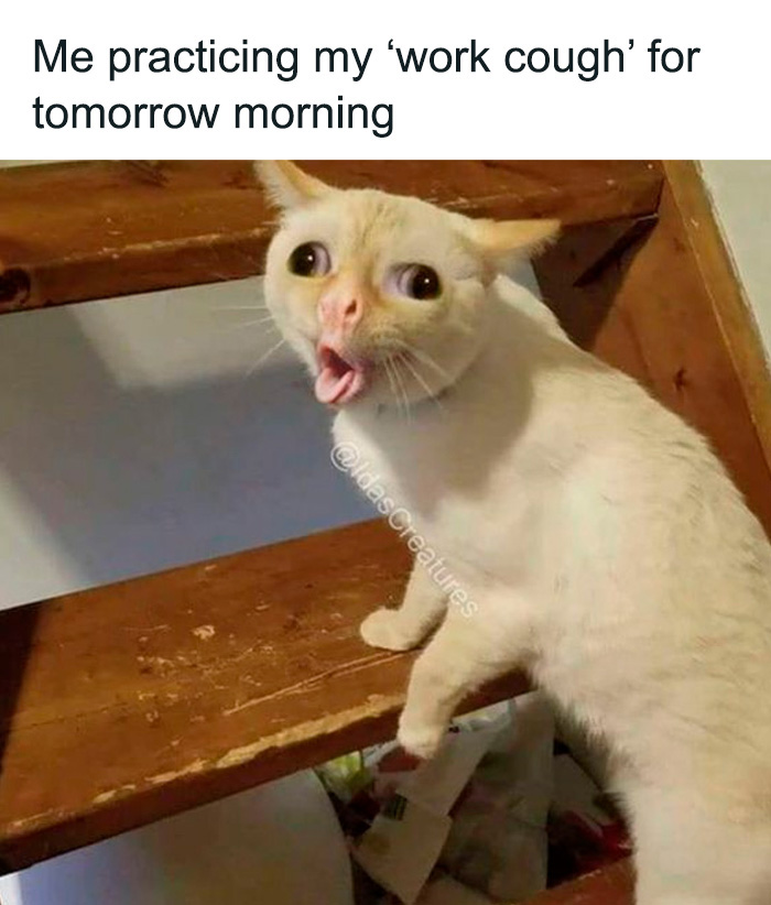 This Facebook Group Shares 50 “Work Related Funnies” To Help You Get Through The Work Week This Facebook Group Shares 50 “Work Related Funnies” To Help You Get Through The Work Week