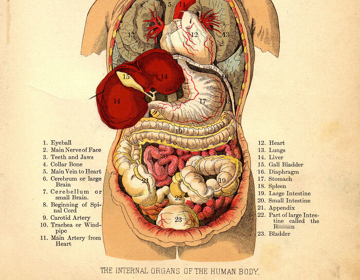 Person Asks “What’s A ‘Fun Fact’ That Isn’t Fun At All?” And 30 Folks Deliver