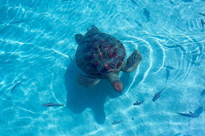 Person Asks “What’s A ‘Fun Fact’ That Isn’t Fun At All?” And 30 Folks Deliver