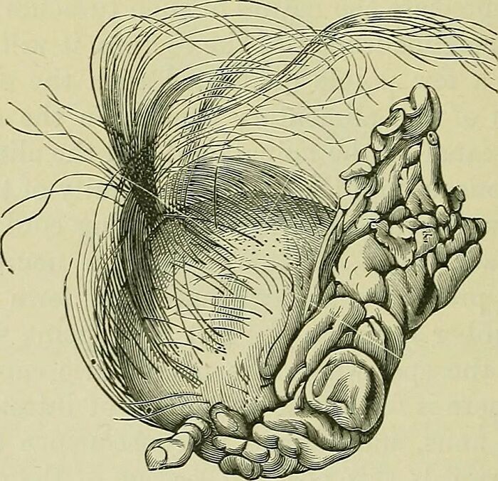 Person Asks “What’s A ‘Fun Fact’ That Isn’t Fun At All?” And 30 Folks Deliver