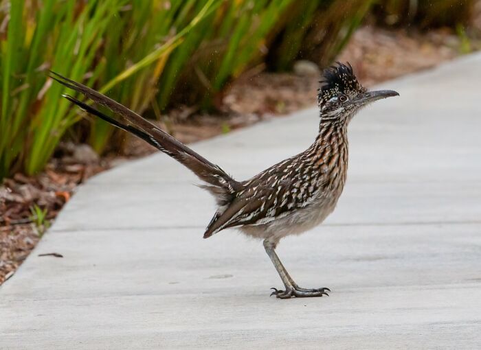 Person Asks “What’s A ‘Fun Fact’ That Isn’t Fun At All?” And 30 Folks Deliver