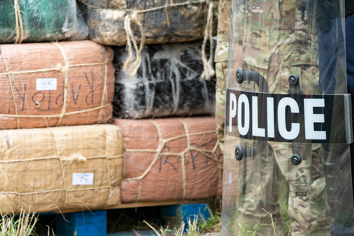 Person Asks “What’s A ‘Fun Fact’ That Isn’t Fun At All?” And 30 Folks Deliver Person Asks “What’s A ‘Fun Fact’ That Isn’t Fun At All?” And 30 Folks Deliver