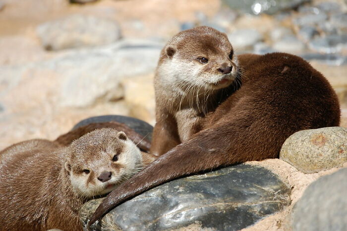 Person Asks “What’s A ‘Fun Fact’ That Isn’t Fun At All?” And 30 Folks Deliver