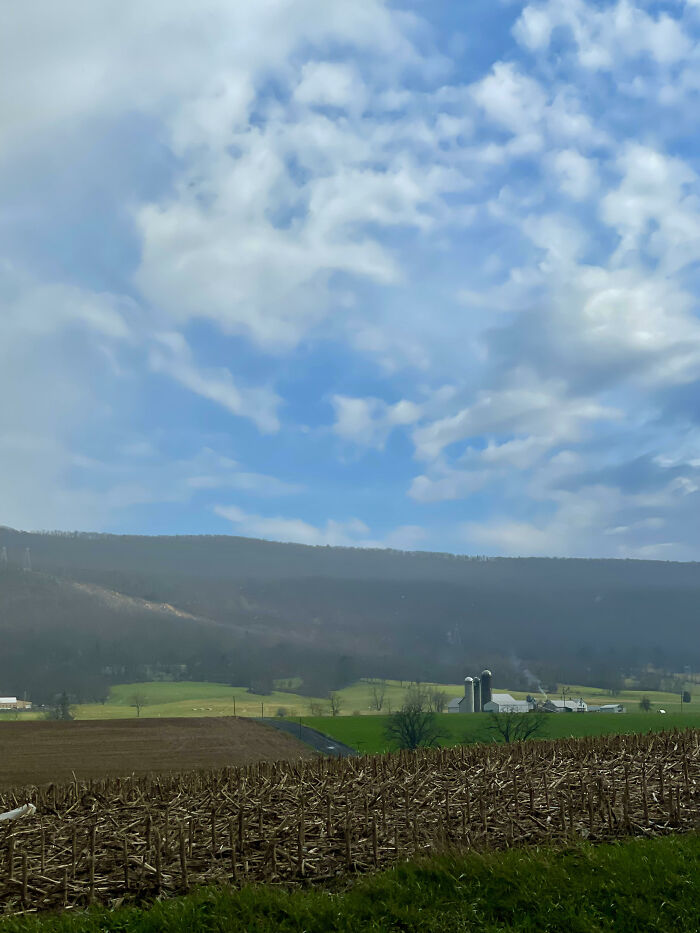 Hey Pandas, Show Us Your Best Day On The Farm (Closed) Hey Pandas, Show Us Your Best Day On The Farm (Closed)