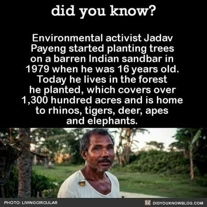 This Instagram Account Shares 50 Interesting And Fact-Checked Things You Might Not Know About The World This Instagram Account Shares 50 Interesting And Fact-Checked Things You Might Not Know About The World