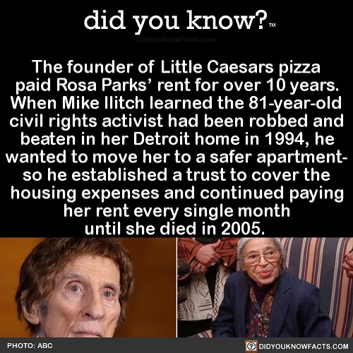 This Instagram Account Shares 50 Interesting And Fact-Checked Things You Might Not Know About The World